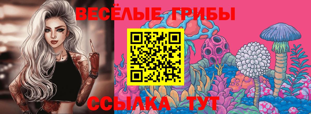Балашов  Псилоцибиновые грибы Psilocybe  Вход с VPN 