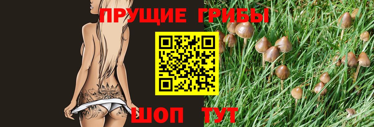 Галлюциногенные грибы MAGIC MUSHROOMS Балашов